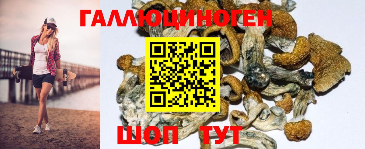 Галлюциногенные грибы GOLDEN TEACHER  Вход с VPN  Екатеринбург 